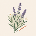 Lavender
