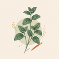 Mint